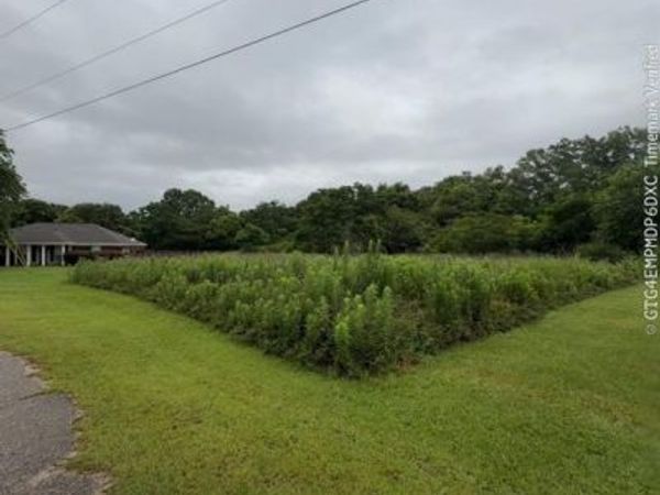 0 Brighton Drive, Chunchula, AL 36521