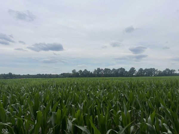 0 W State Rd 250 , Paris Crossing, IN 47270