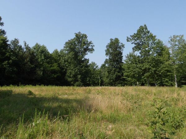 13.87ac Pleasant Cemetery Lane , Gainesboro, TN 38562