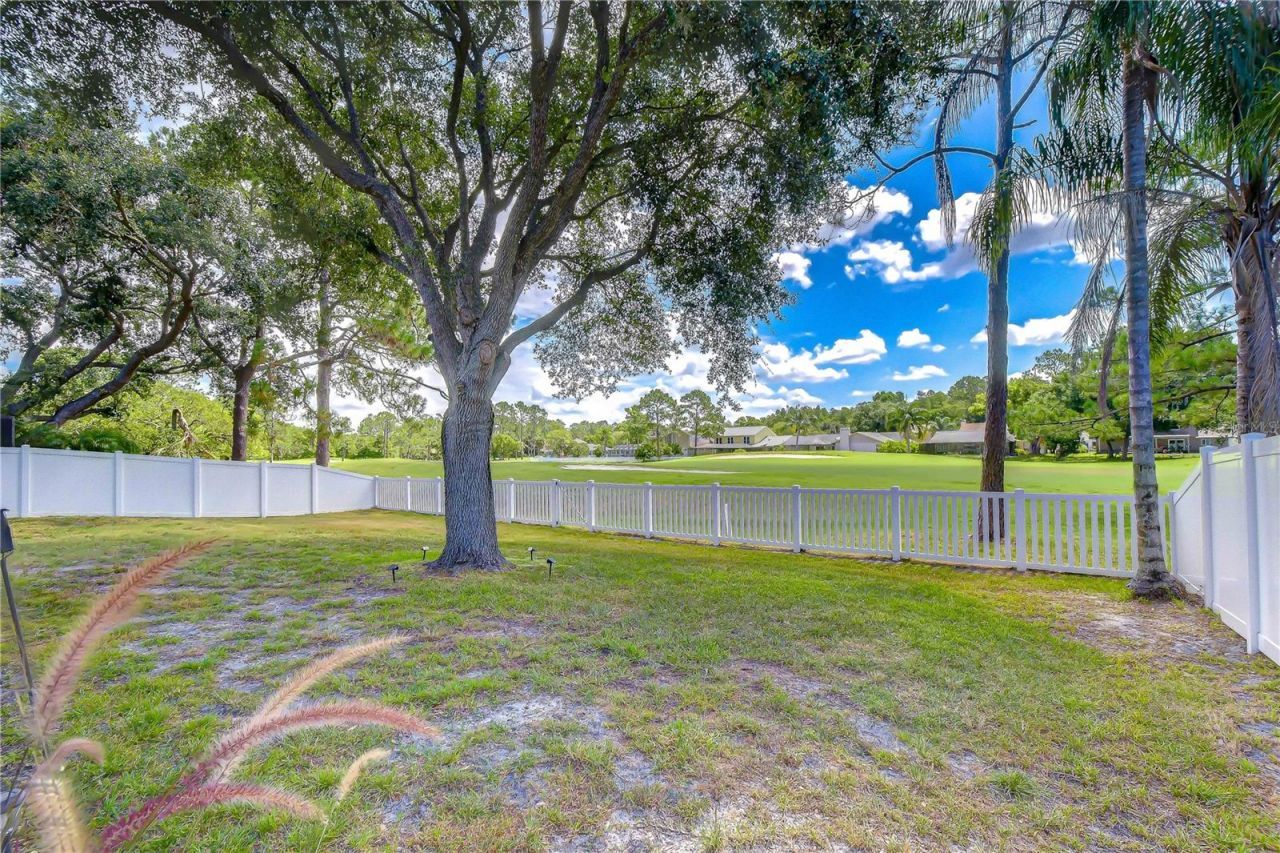 16605 E Course Drive , Tampa, FL 33624 Photo