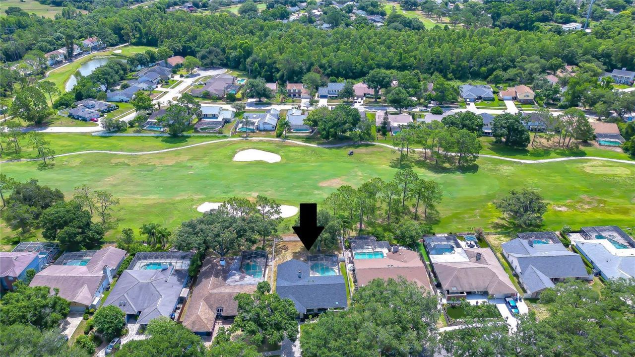 16605 E Course Drive , Tampa, FL 33624 Photo