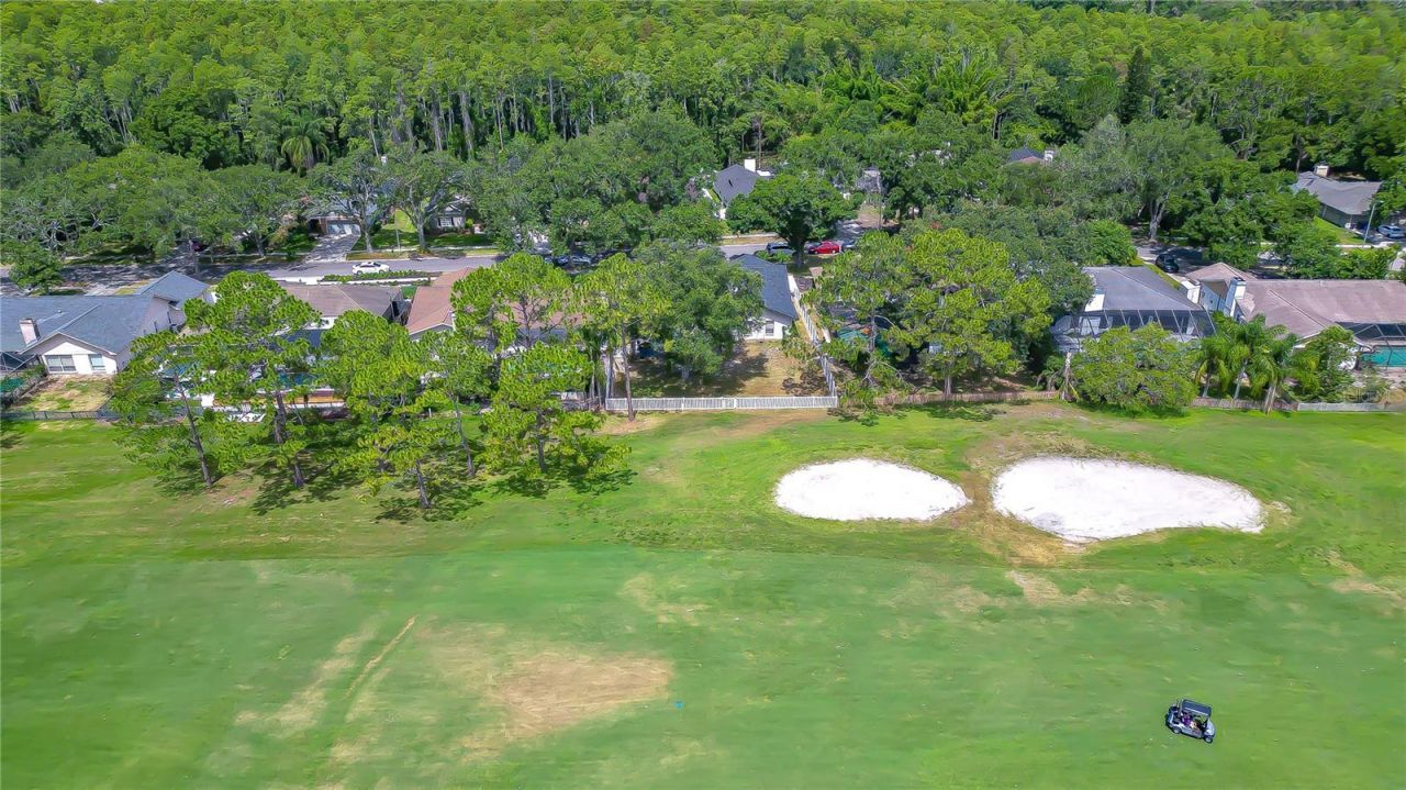 16605 E Course Drive , Tampa, FL 33624 Photo