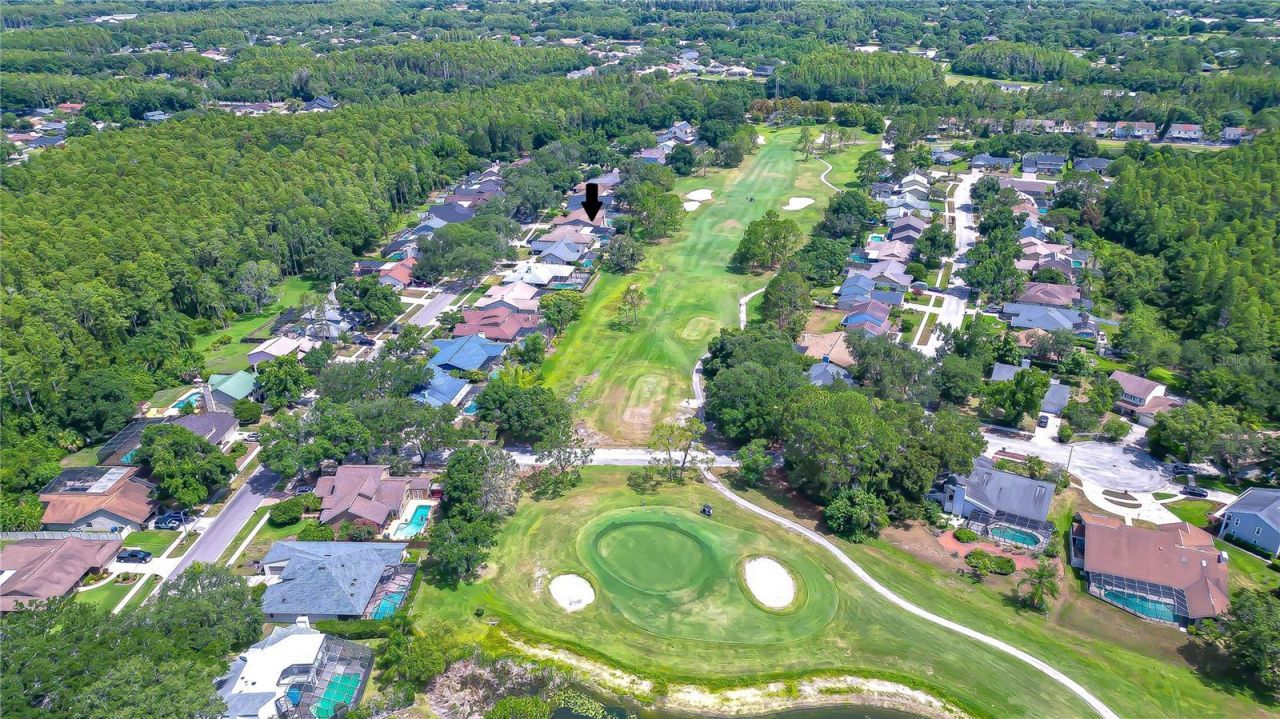 16605 E Course Drive , Tampa, FL 33624 Photo