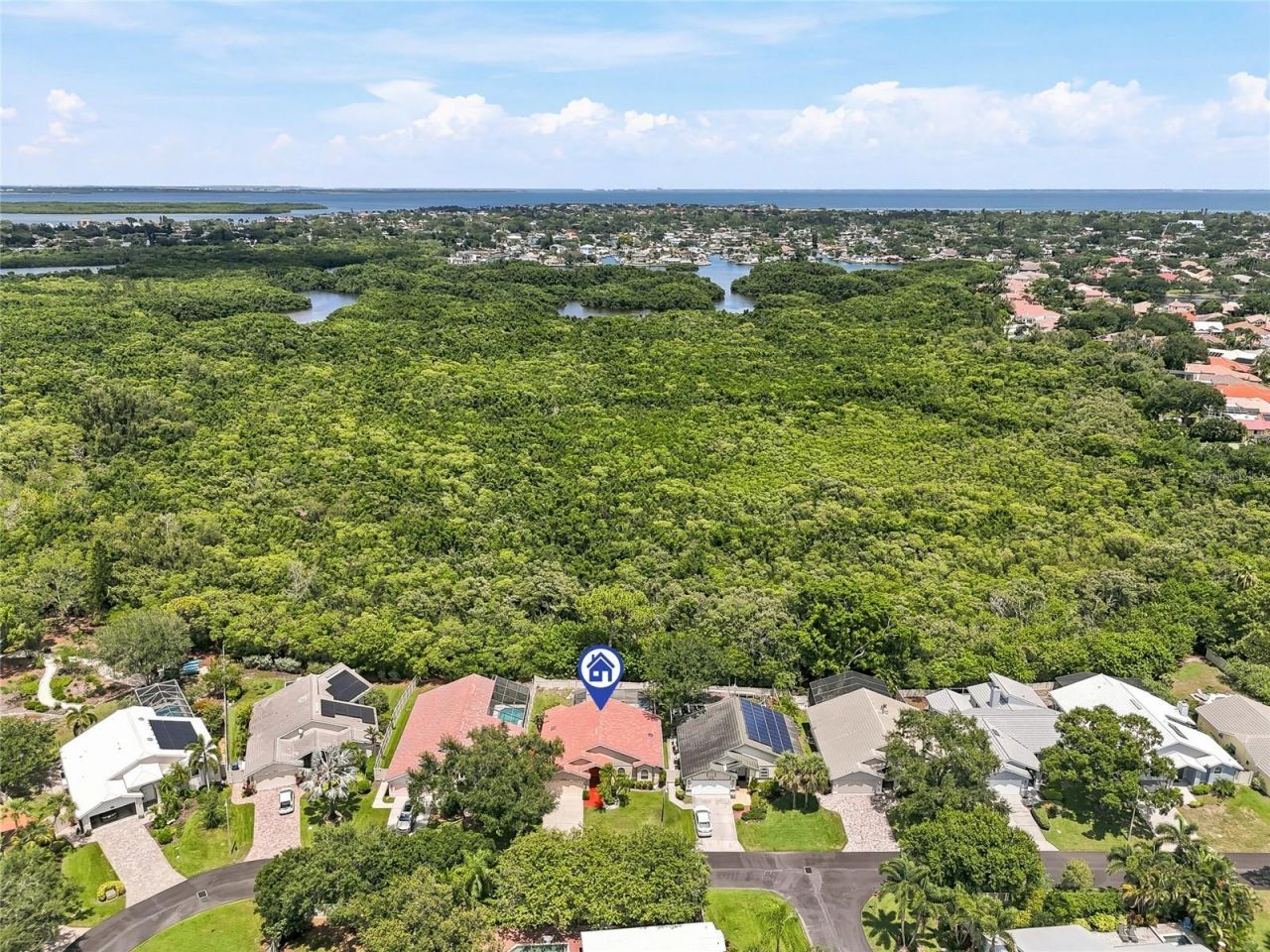 5274 White Sand Circle Ne, Saint Petersburg, FL 33703 Photo