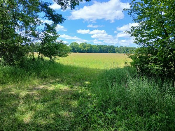 20A N Stephens Road, Custer, MI 49405