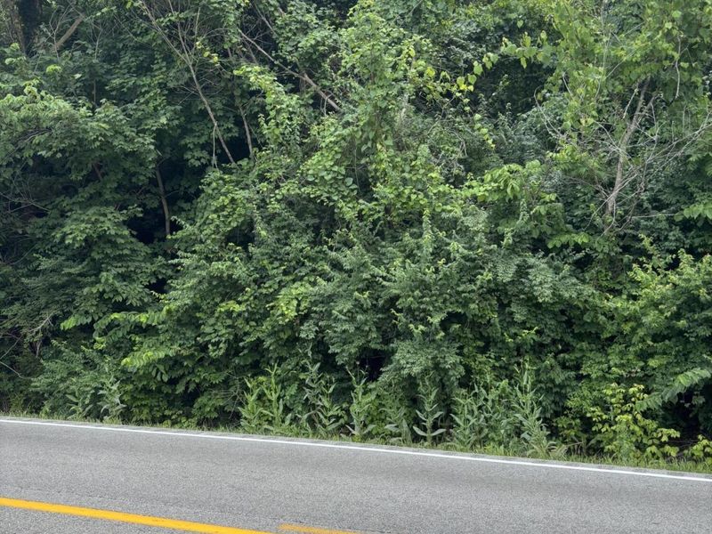 0 E Mary Ingles HWY E, Dover, KY 41034 Photo 4
