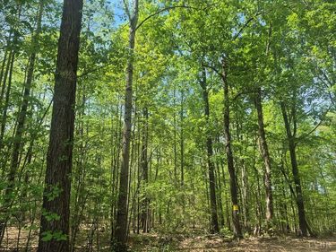 0 Deer Run, Farmville, VA 23901