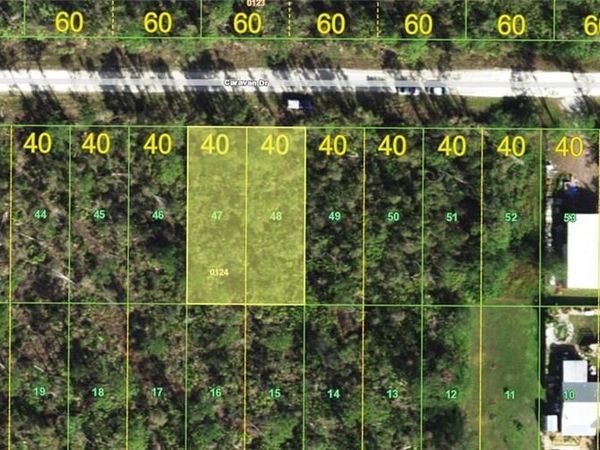 12193 Caravan DR , PUNTA GORDA, FL 33955