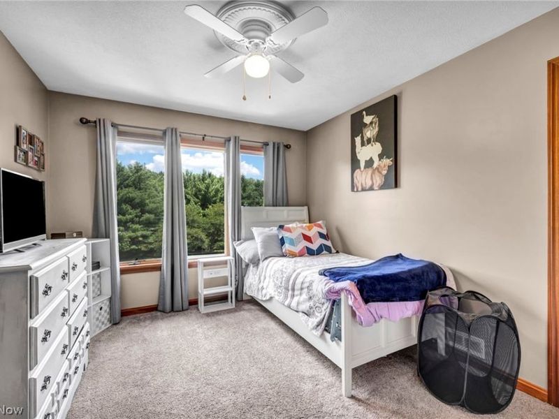 16420 Vernon Drive, West Farmington, OH 44491 Photo 30