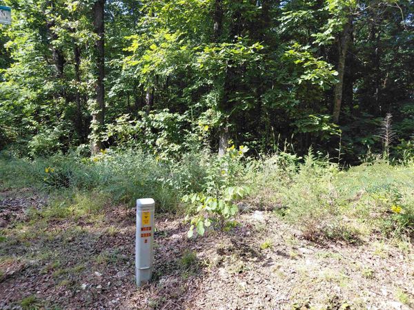 Ponderosa Lane , Ozark Acres, AR 72482