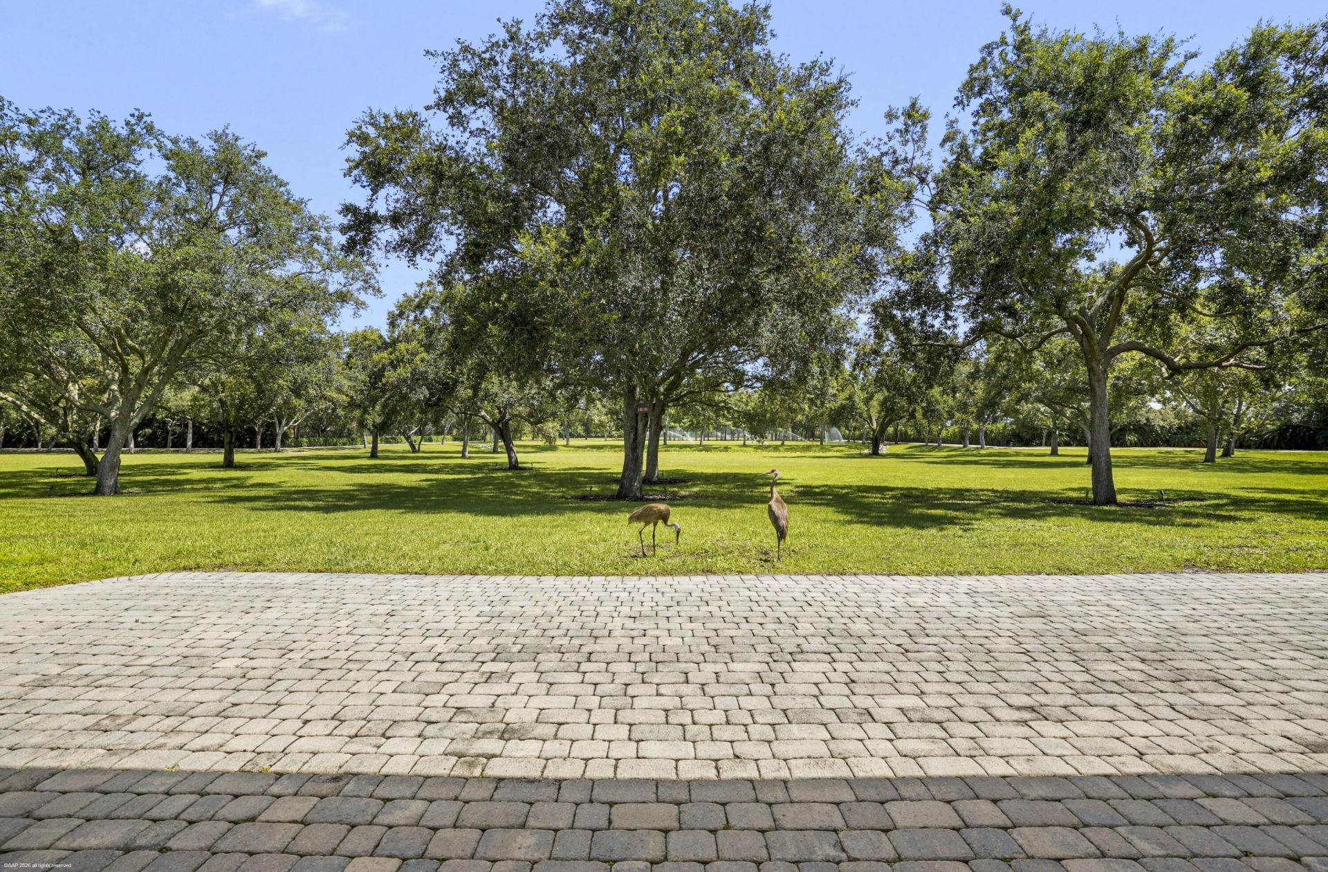 16451 Norris Road, Wellington, FL 33470 Photo