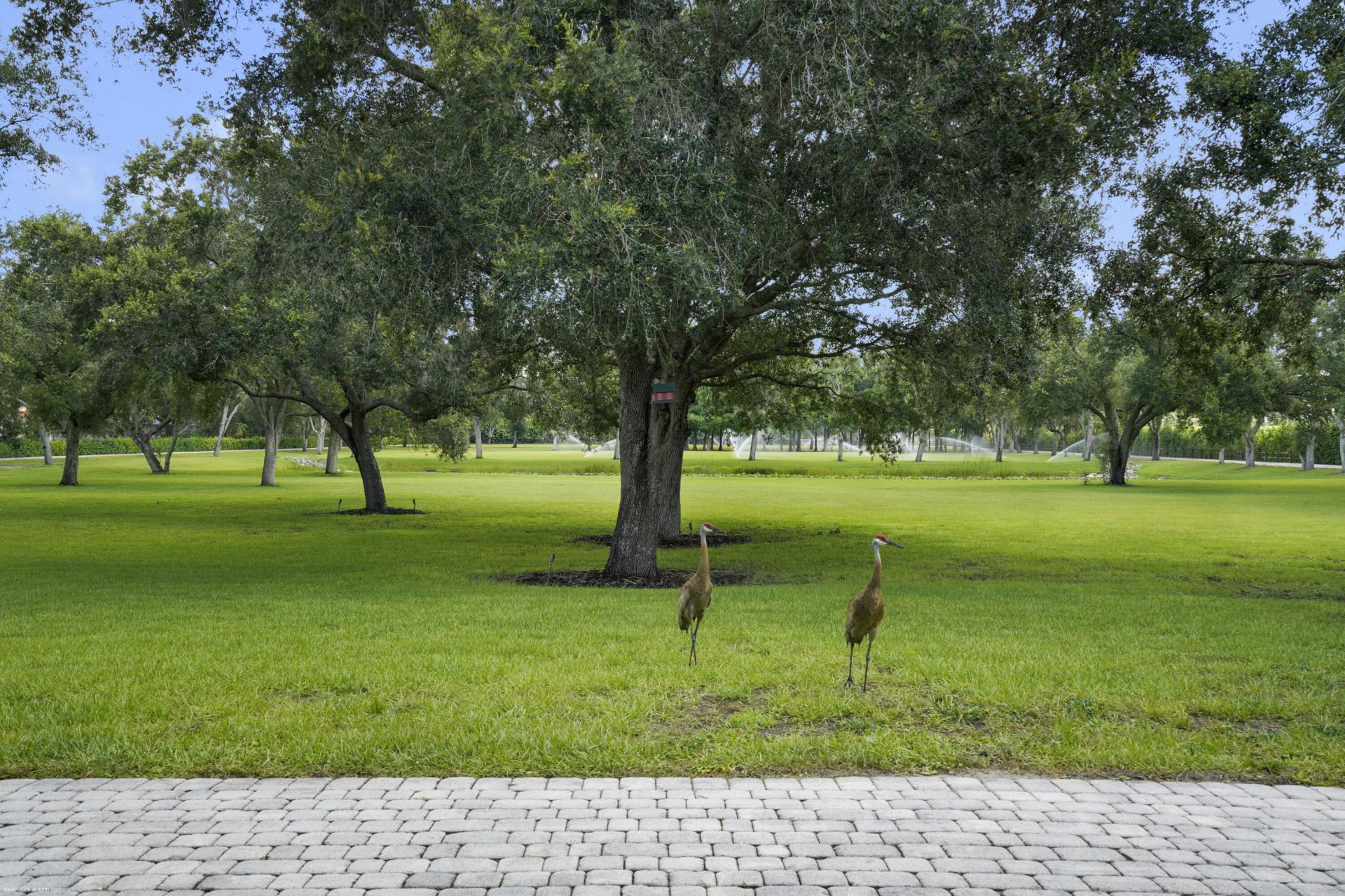 16451 Norris Road, Wellington, FL 33470 Photo