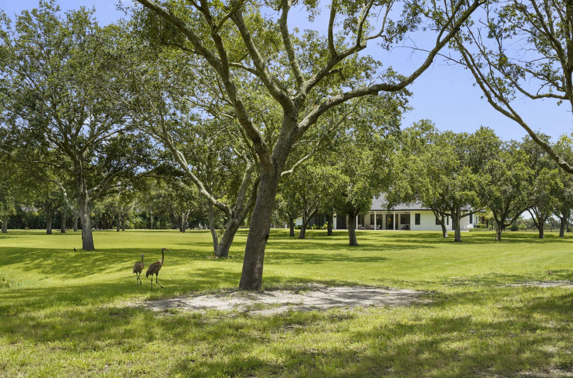 16451 Norris Road, Wellington, FL 33470 Photo