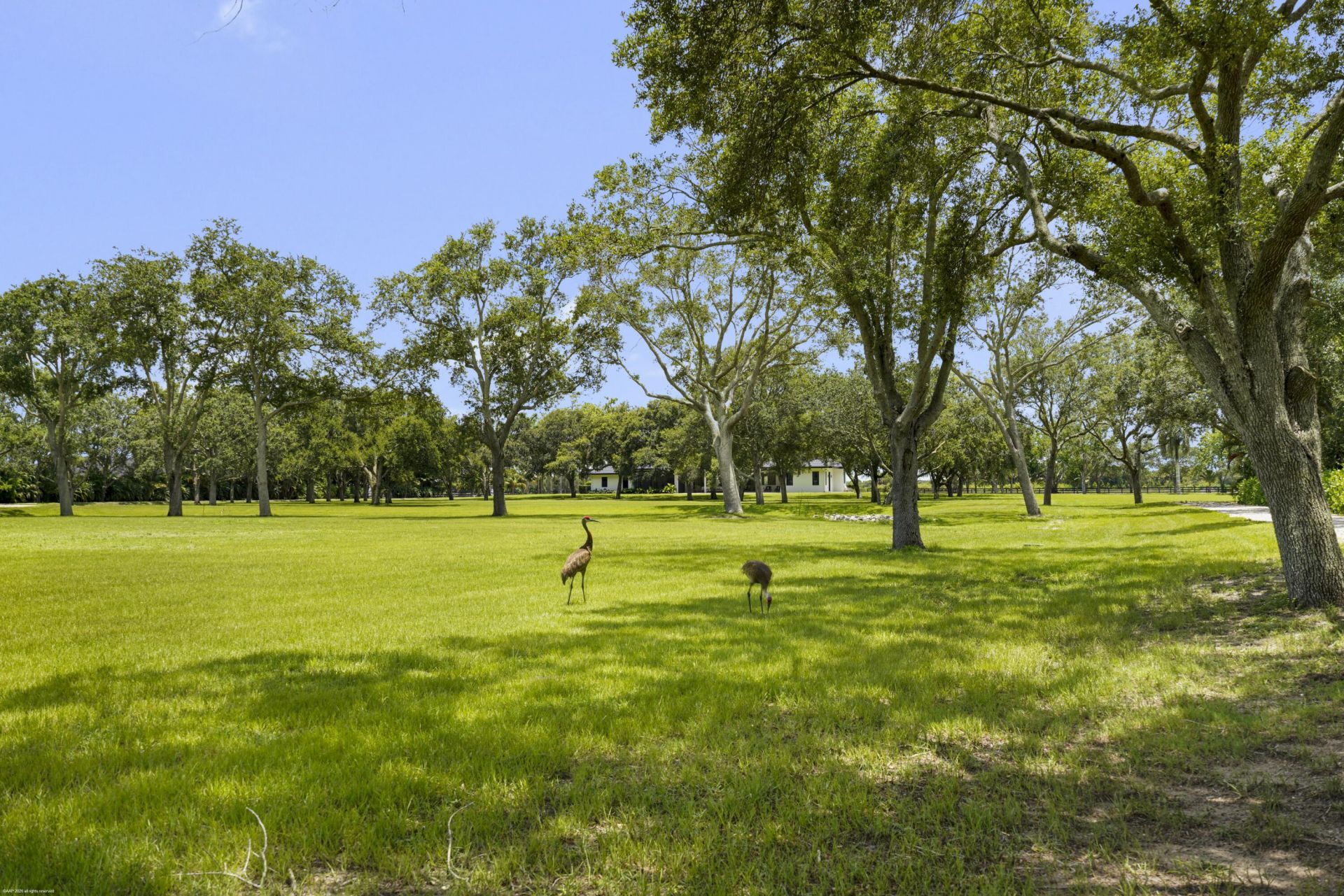 16451 Norris Road, Wellington, FL 33470 Photo