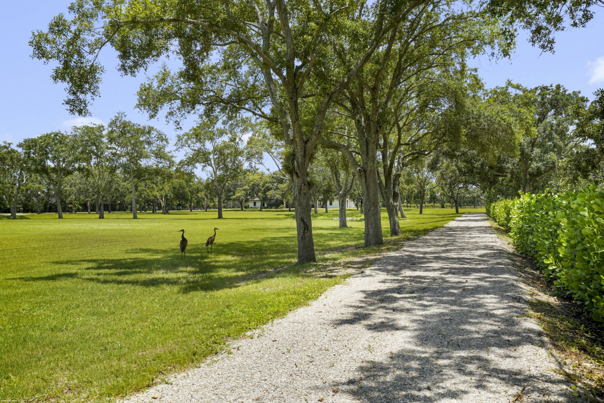 16451 Norris Road, Wellington, FL 33470 Photo