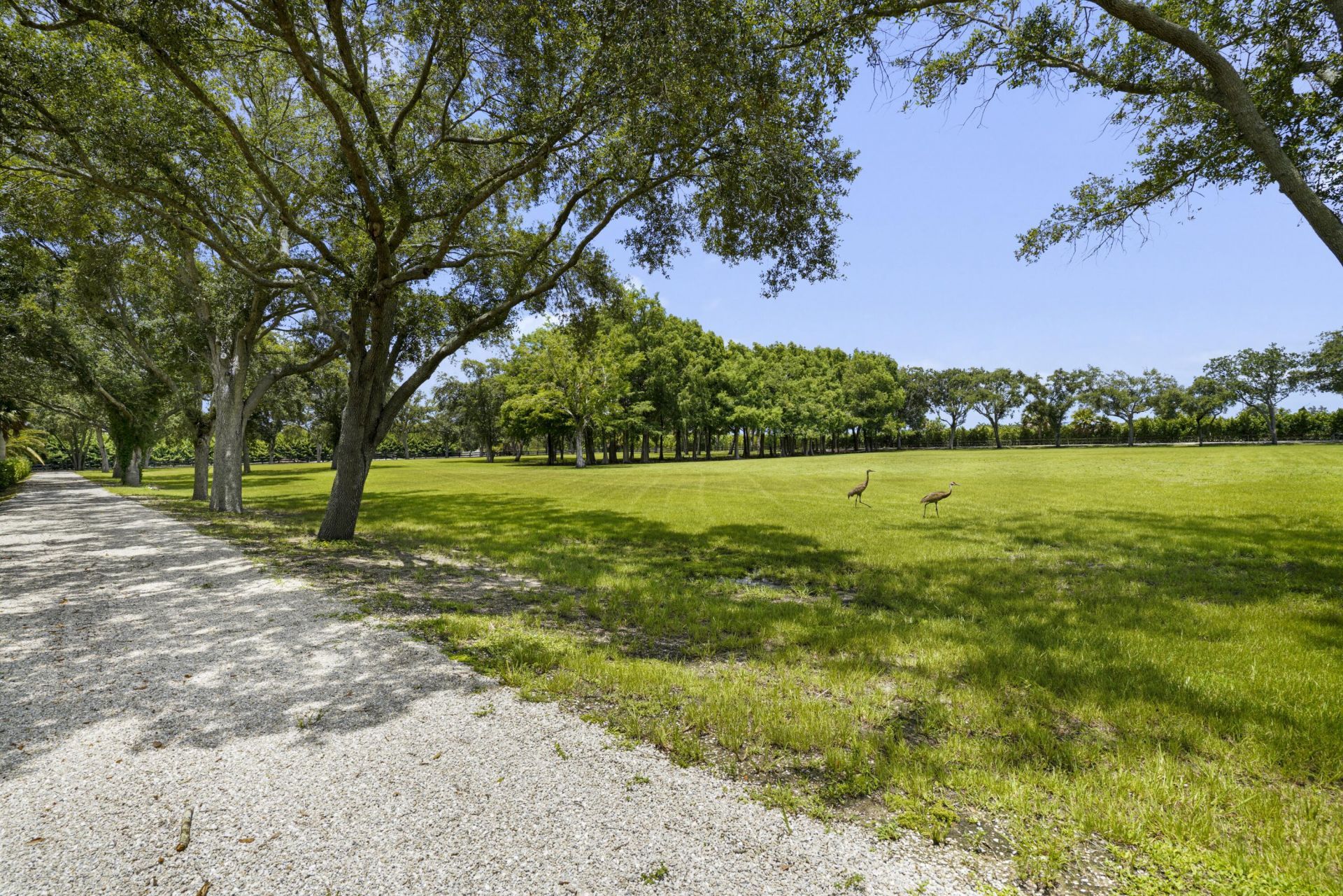 16451 Norris Road, Wellington, FL 33470 Photo