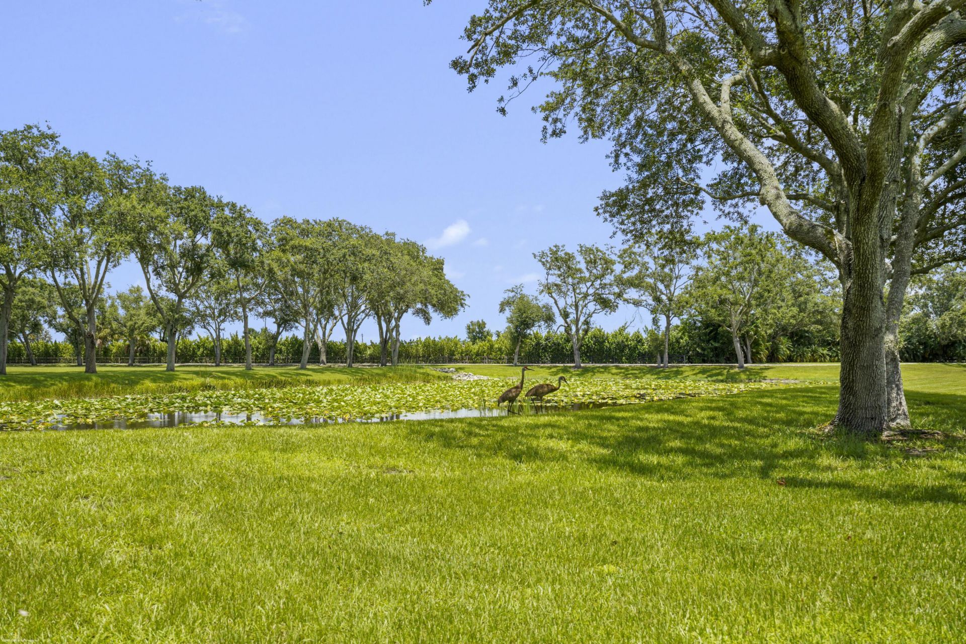 16451 Norris Road, Wellington, FL 33470 Photo