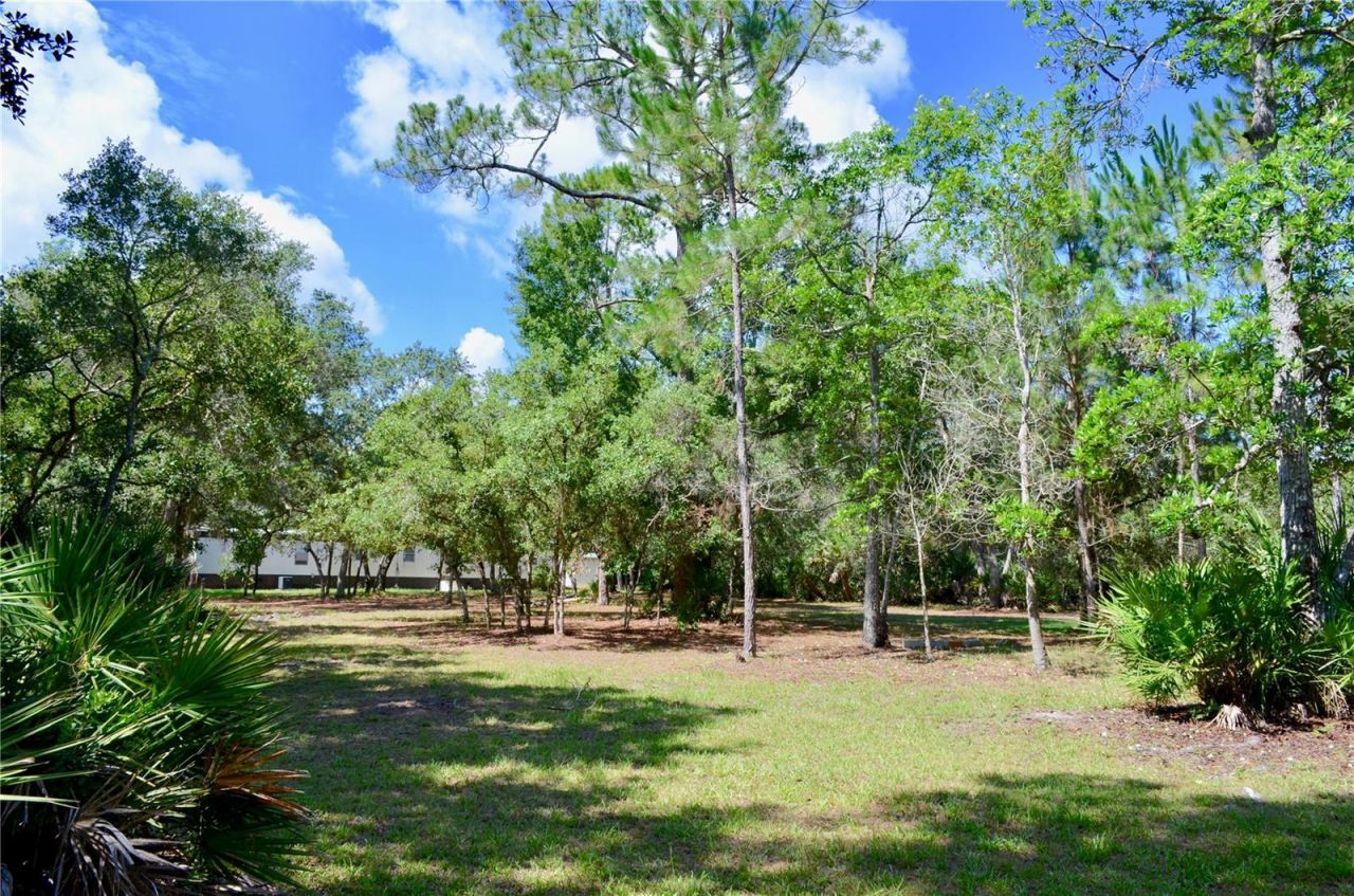 33135 Forest Ridge Road , Deland, FL 32720 Photo