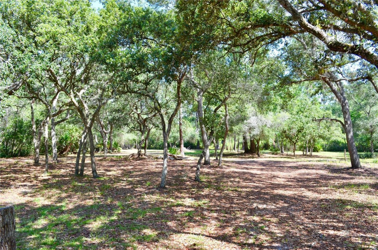 33135 Forest Ridge Road , Deland, FL 32720 Photo
