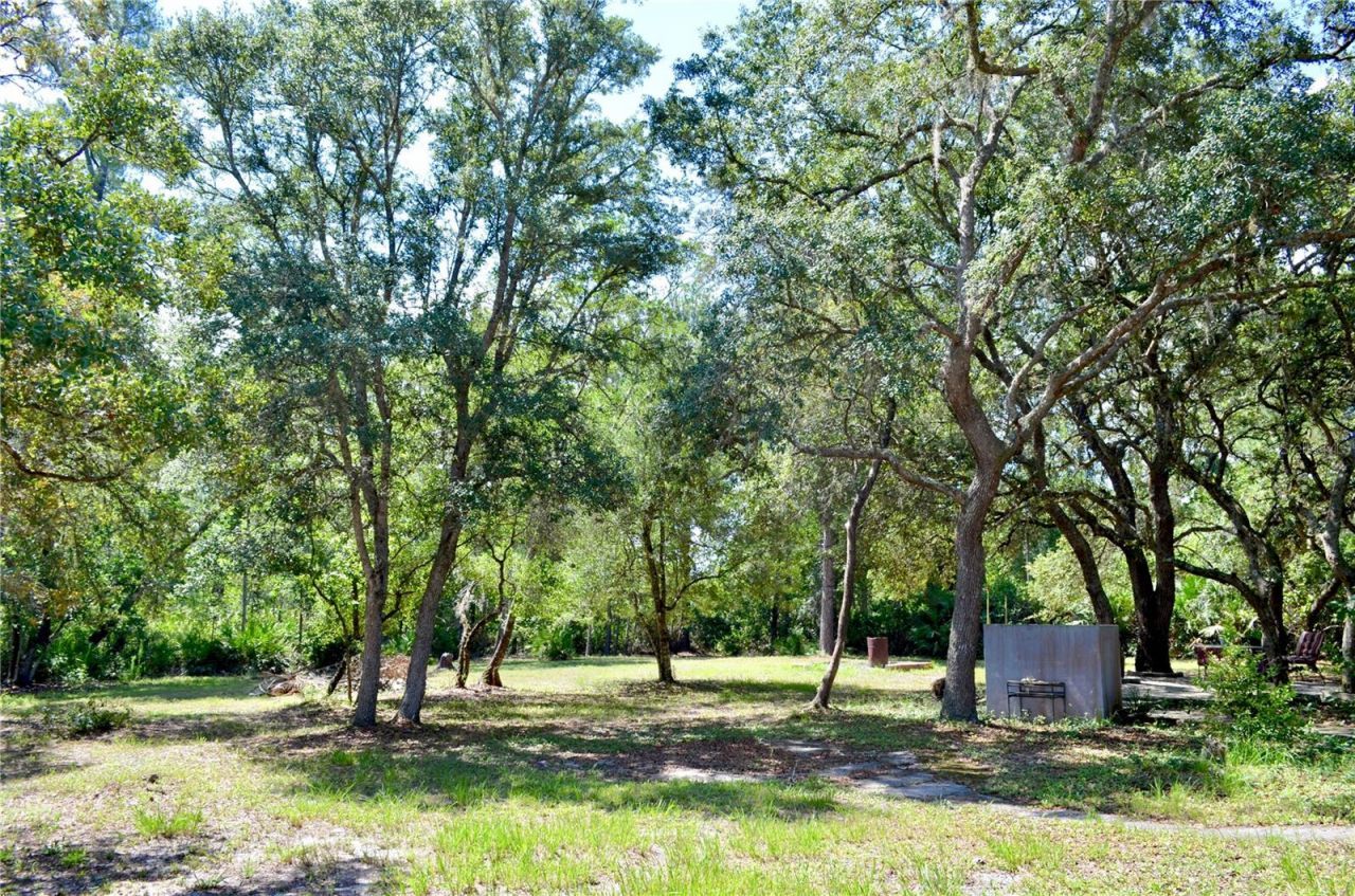 33135 Forest Ridge Road , Deland, FL 32720 Photo