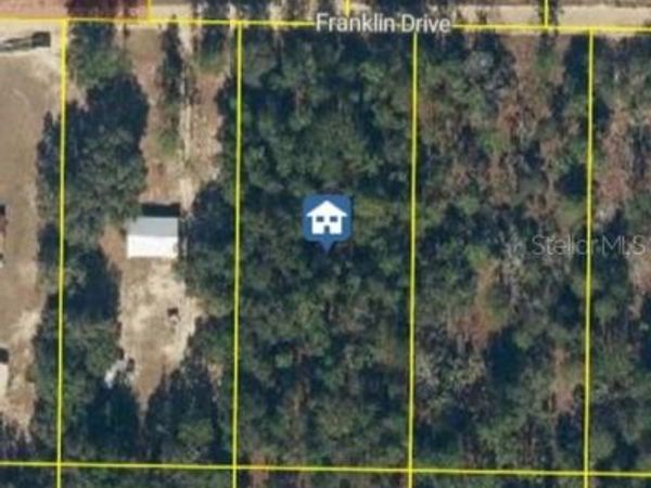 115 FRANKLIN DRIVE , HAWTHORNE, FL 32640