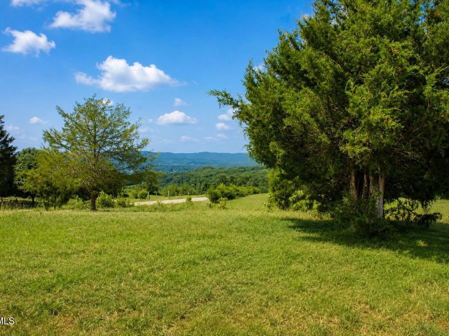 Property Image 52