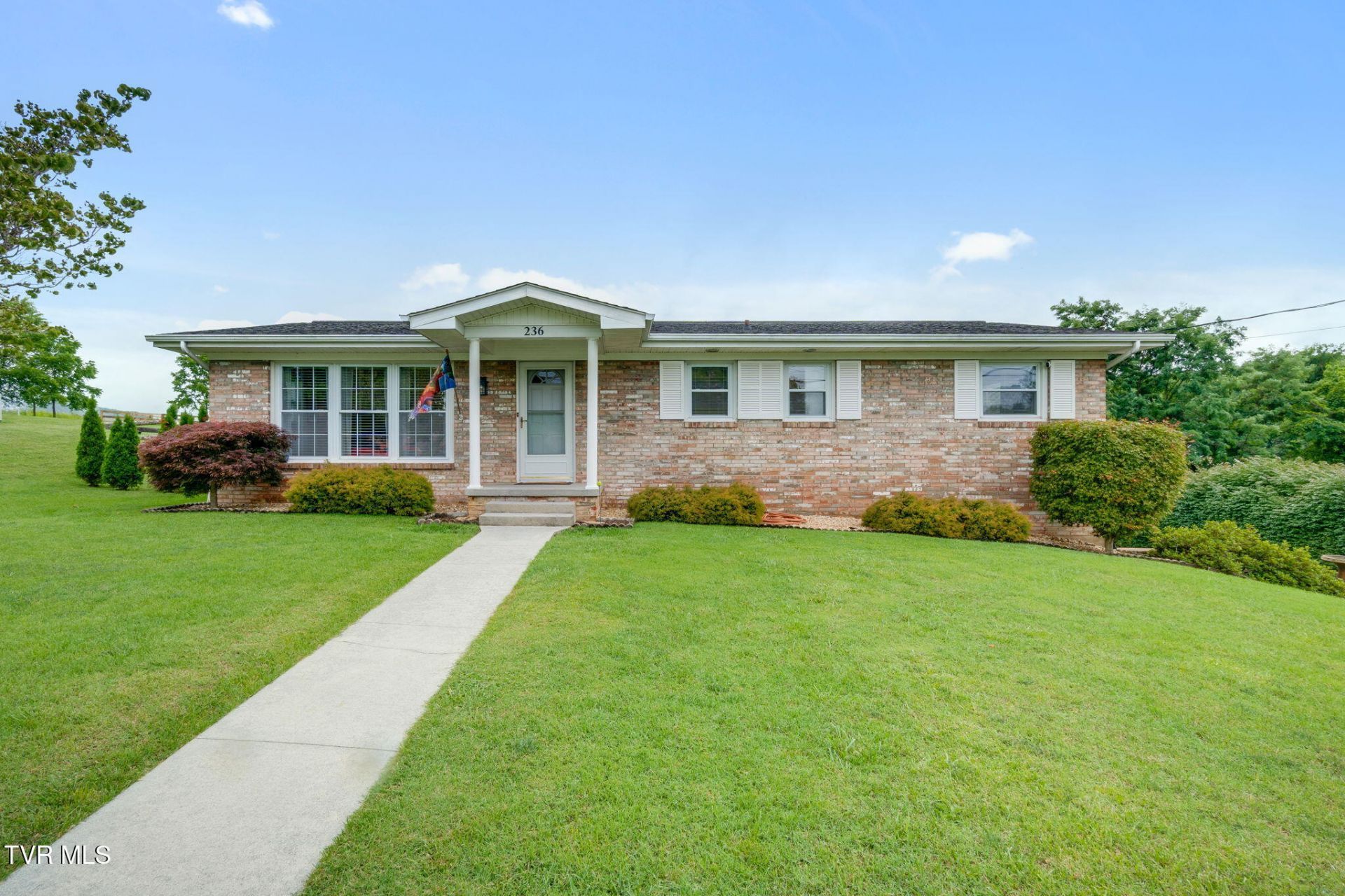 236 Minuteman Drive, Bluff City, TN 37618 Main Photo