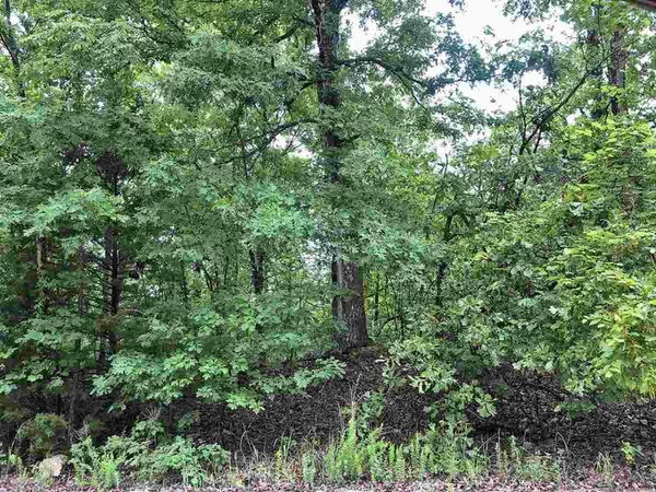 710 Lynwood Avenue, Horseshoe Bend, AR 72512