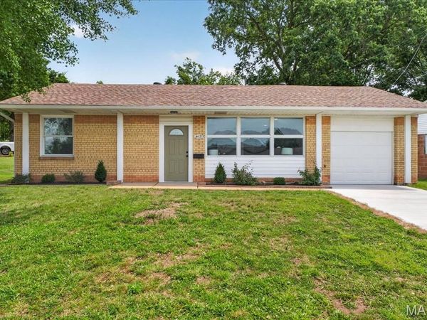 4117 Louis Street, St Louis, MO 63116