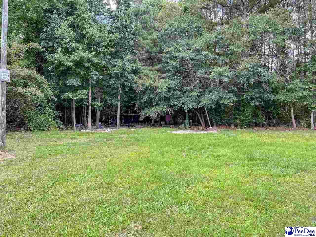 140 Magnolia Dr Photo 22