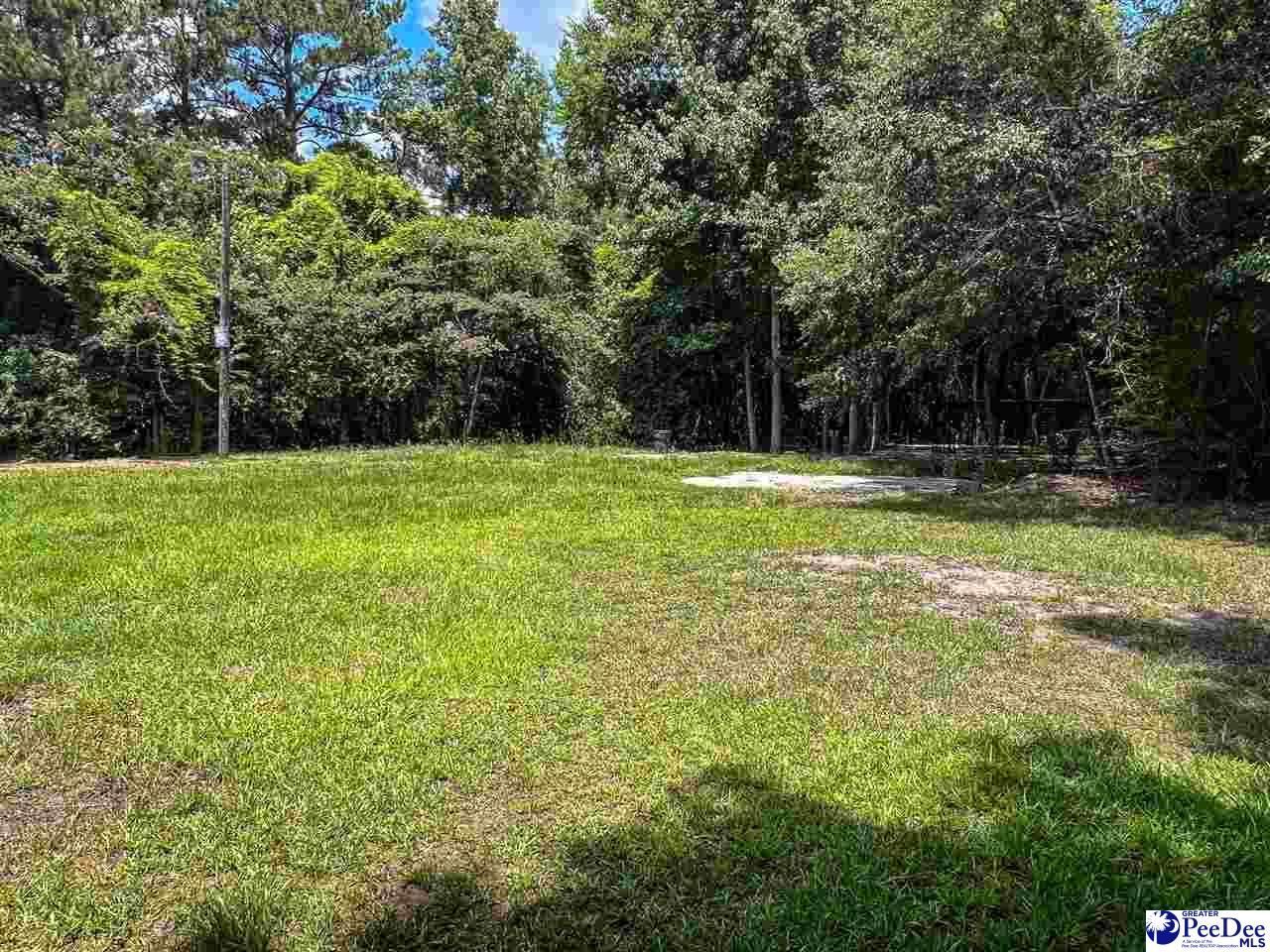 140 Magnolia Dr Photo 24