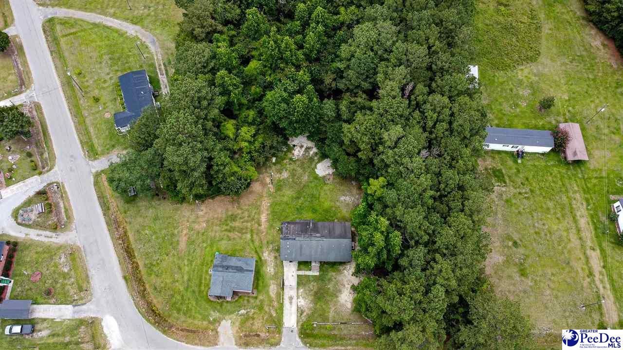 140 Magnolia Dr Photo 26
