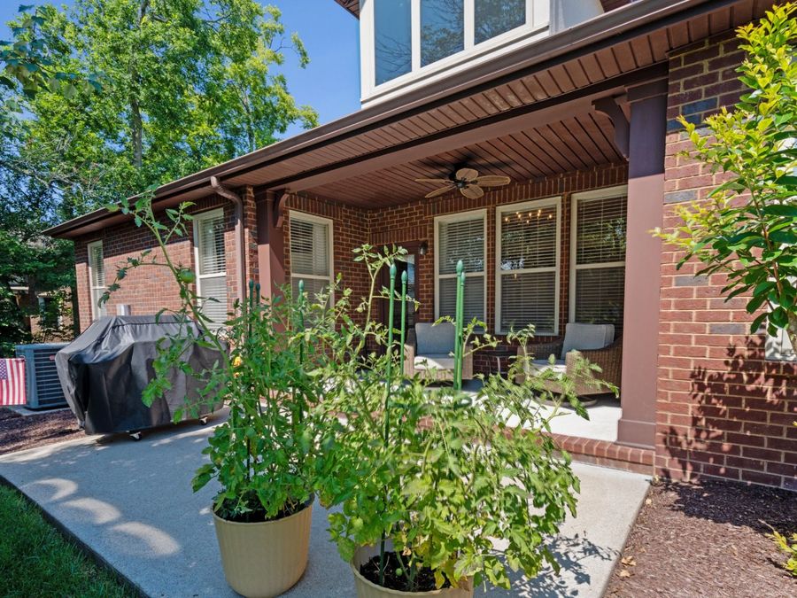 Property Image 37