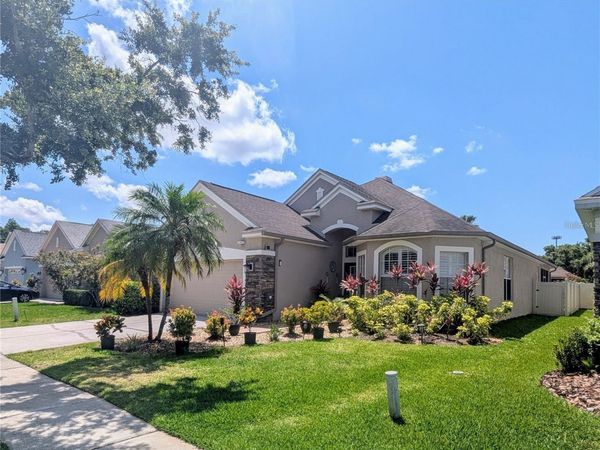 11236 BLACKSMITH DRIVE , TAMPA, FL 33626