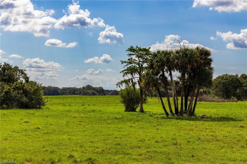 21405 Dooley Grade Rd , Clewiston, FL 33440 Photo