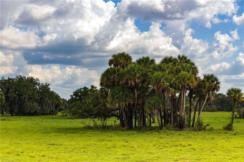 21405 Dooley Grade Rd , Clewiston, FL 33440 Photo