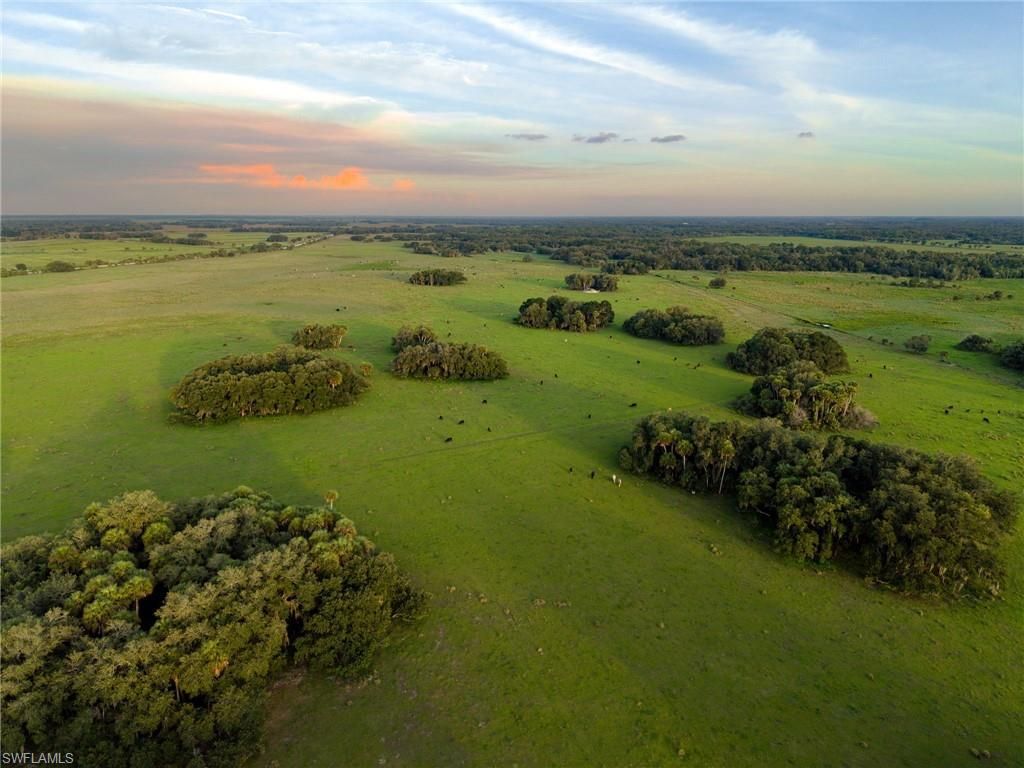 21405 Dooley Grade Rd , Clewiston, FL 33440 Photo