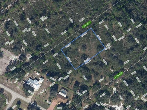 1211 CLINTON STREET , LAKE PLACID, FL 33852