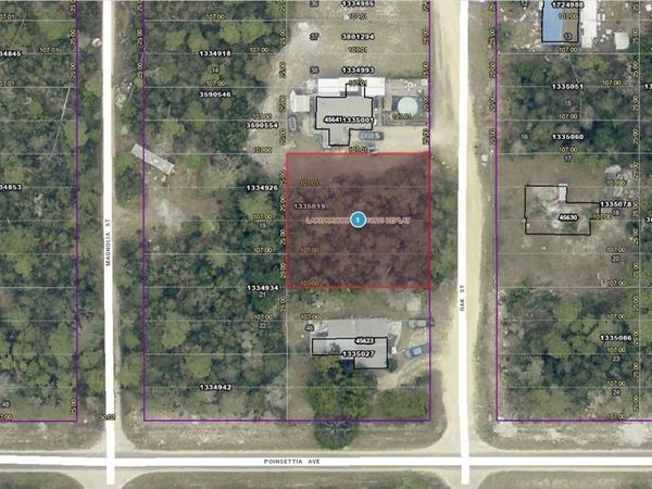 14-17-28-0200-004-04100 OAK STREET , PAISLEY, FL 32767