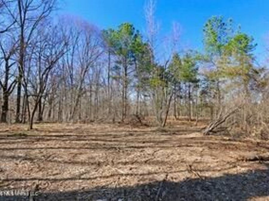 Property Image 7