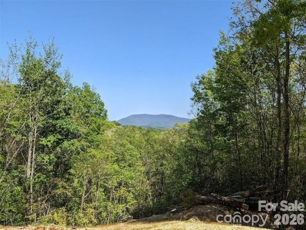 171 Nuthatch Lane , Black Mountain, NC 28711
