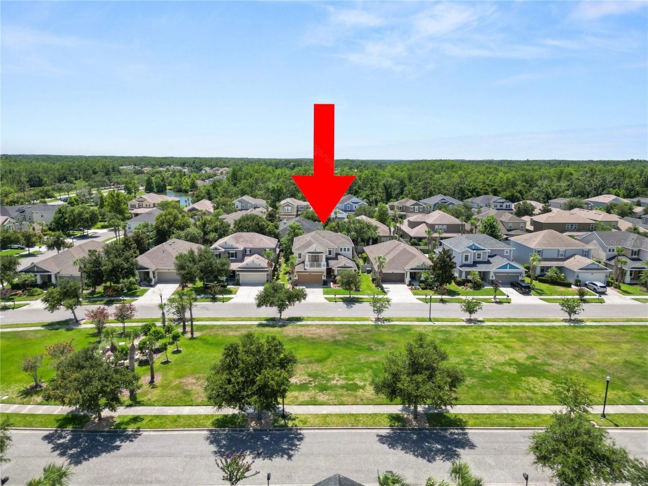 8775 Sentiero Drive , Land O Lakes, FL 34637 Photo