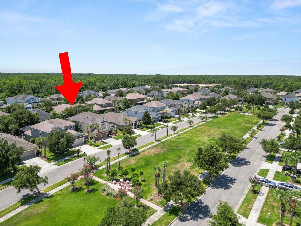 8775 Sentiero Drive , Land O Lakes, FL 34637 Photo