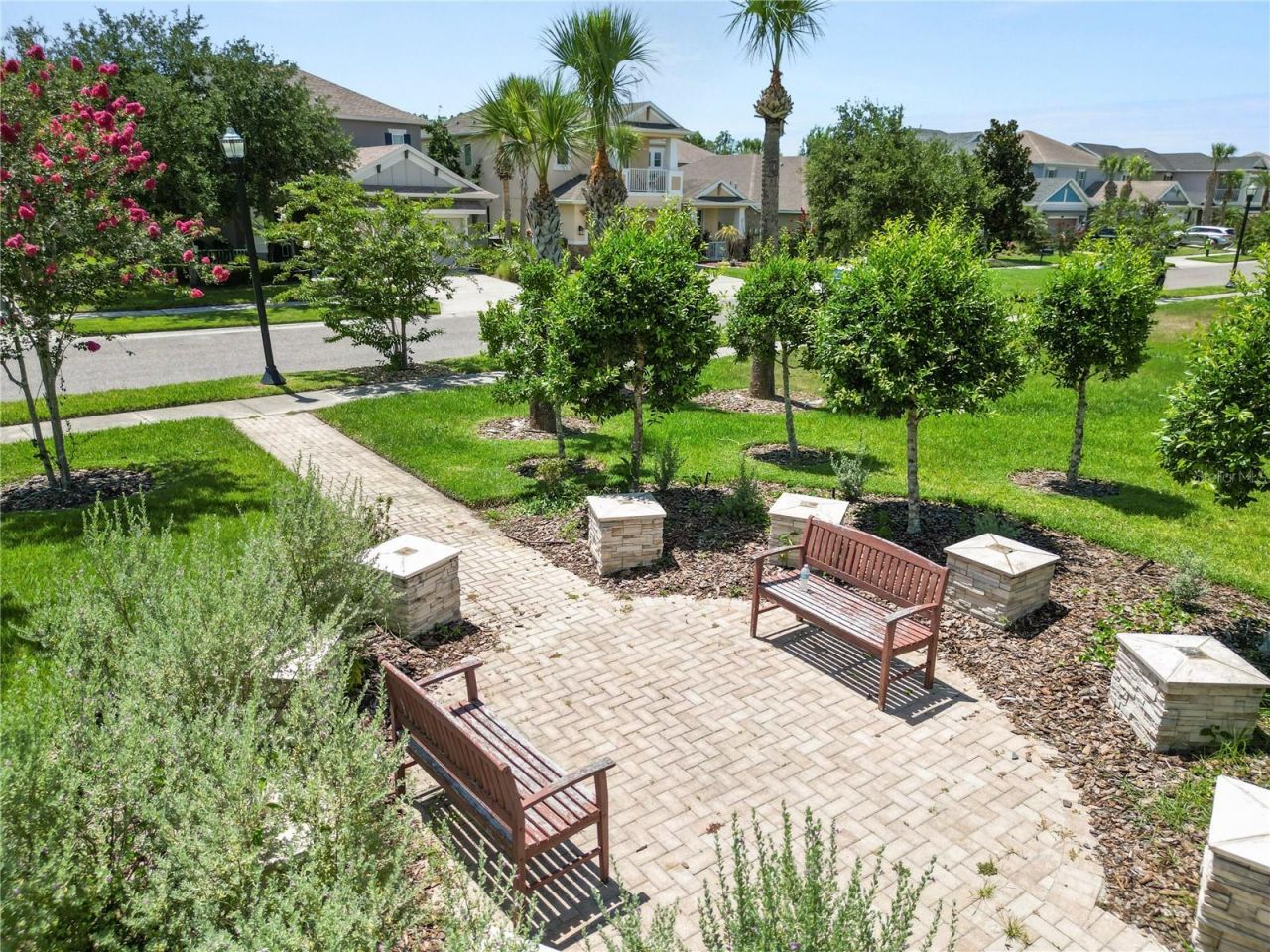 8775 Sentiero Drive , Land O Lakes, FL 34637 Photo