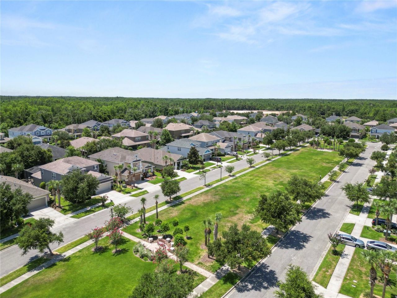 8775 Sentiero Drive , Land O Lakes, FL 34637 Photo