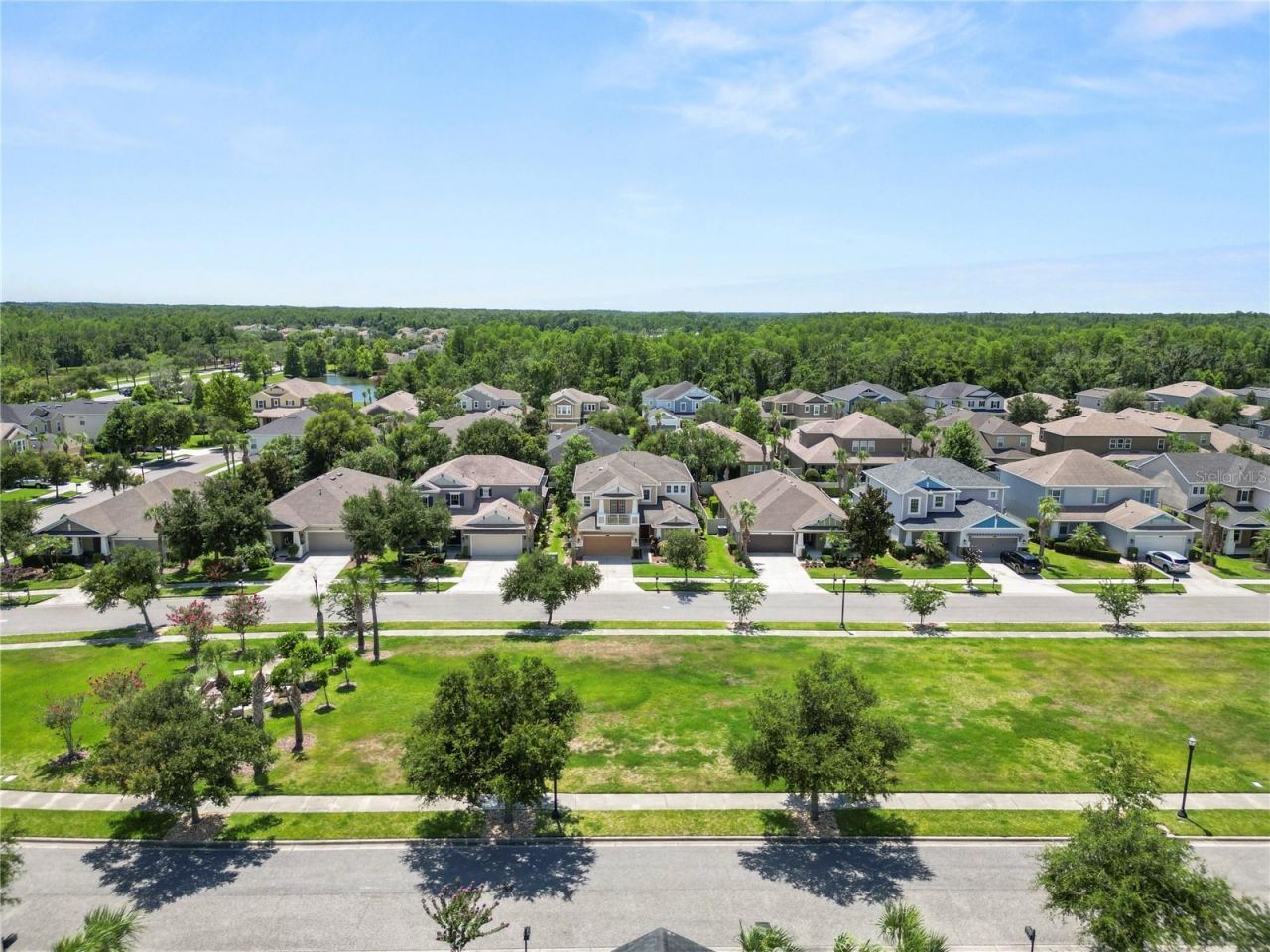 8775 Sentiero Drive , Land O Lakes, FL 34637 Photo