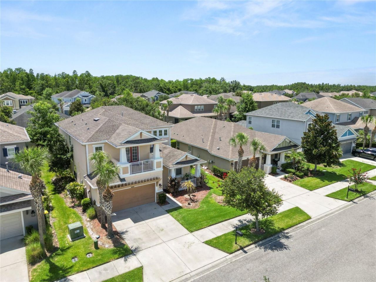 8775 Sentiero Drive , Land O Lakes, FL 34637 Photo