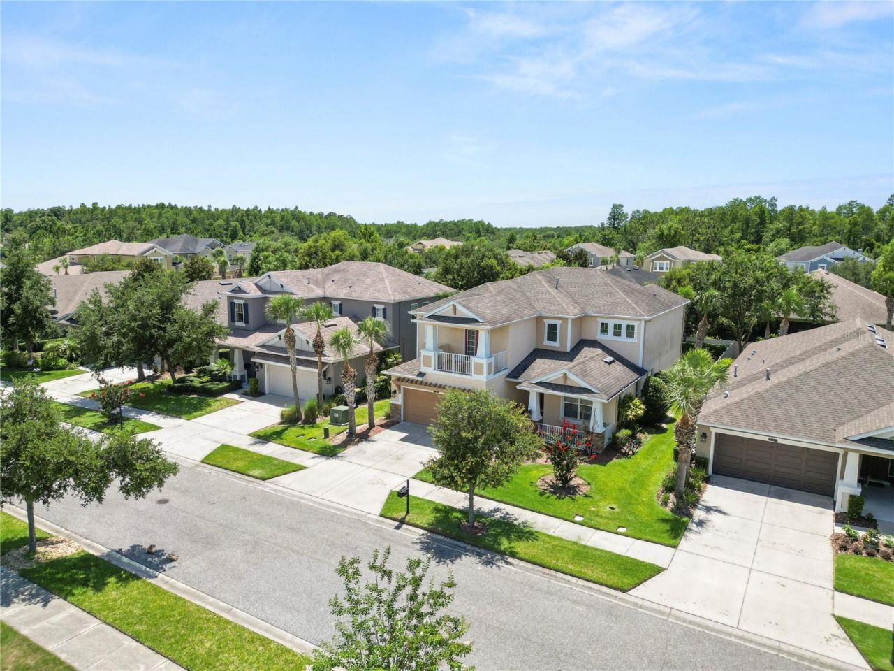 8775 Sentiero Drive , Land O Lakes, FL 34637 Photo