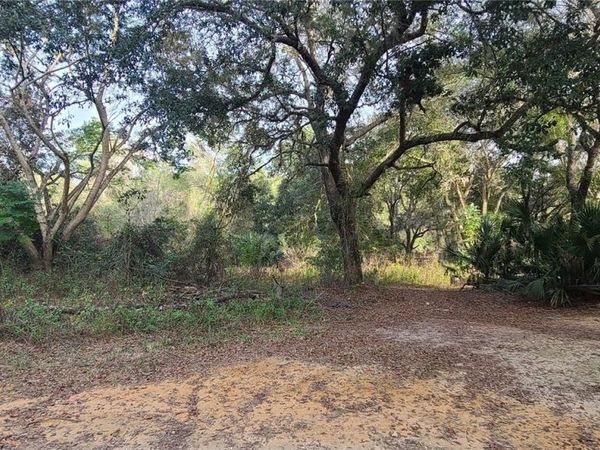 17205 SE 252ND AVENUE , UMATILLA, FL 32784