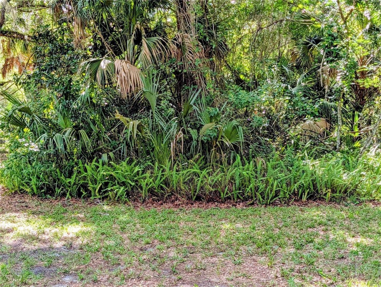 0 N Toro Drive, Inverness, FL 34453 Photo